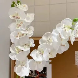 ORQUIDEA BLANCA GRANDE