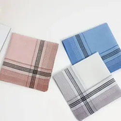 Pañuelos de Hombres