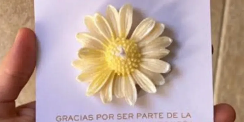 Velas de Hermosas Margaritas