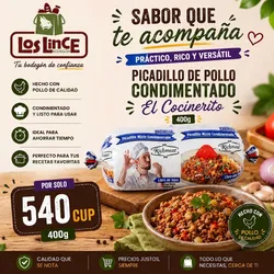 PICADILLO CONDIMENTADO (400g) 