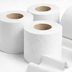 ROLLO DE PAPEL SANITARIO 