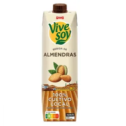 Bebida Vivesoy Almendra Pascual