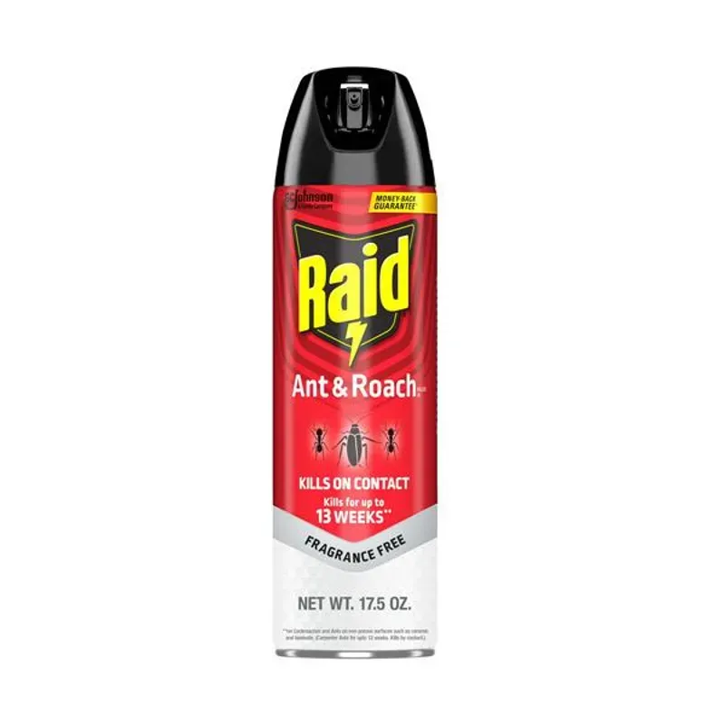 Insecticida Fragance Free Raid 
