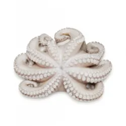 Pulpo limpio 
