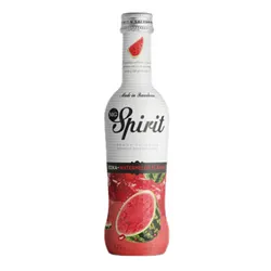 Spirit Vodka - Melón
