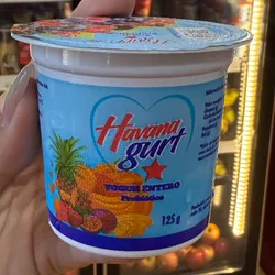 Yogurt Entero Probiotico Fruto del Bosque 