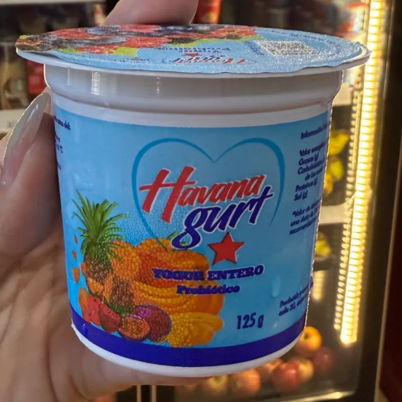 Yogurt Entero Probiotico Fruto del Bosque 