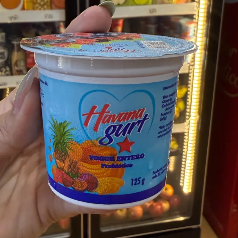 Yogurt Entero Probiotico Vainilla