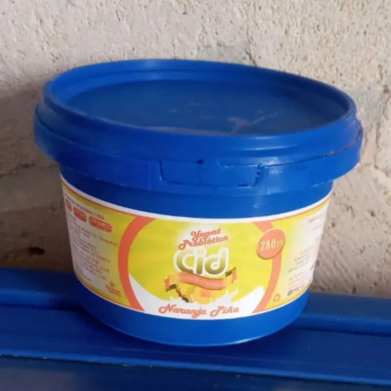 Yogurt Probiotico Cid 250ml