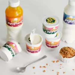 Yogurt Probiótico Santa Ana Mango