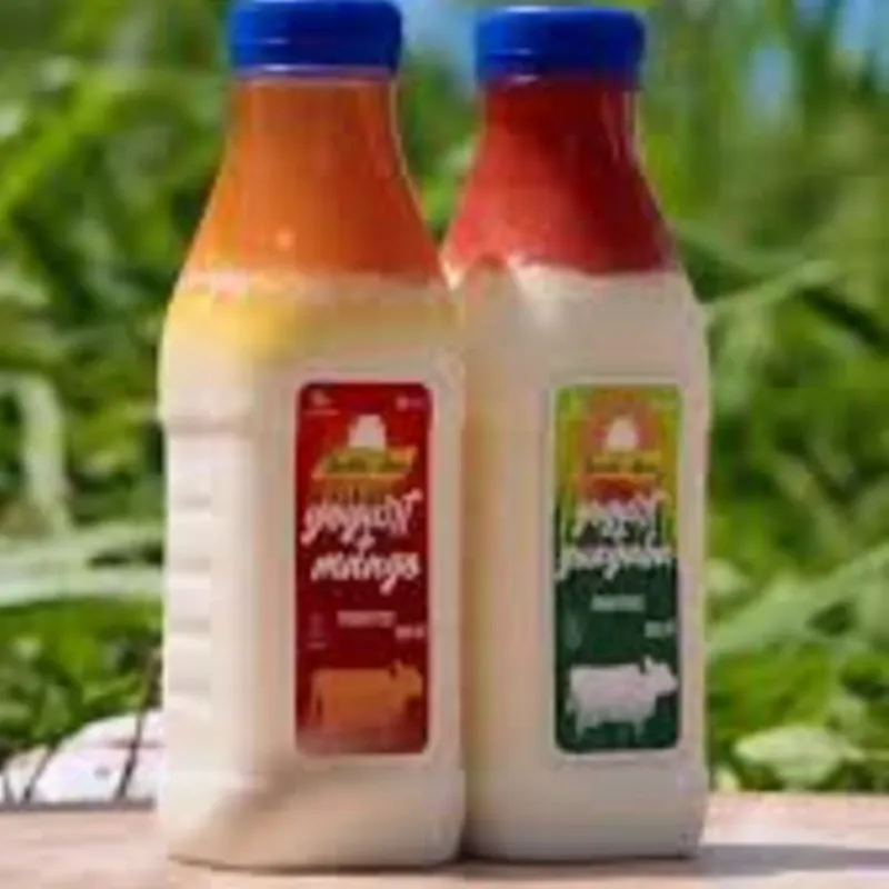 Yogurt Santa Ana Probiotico con Fresa
