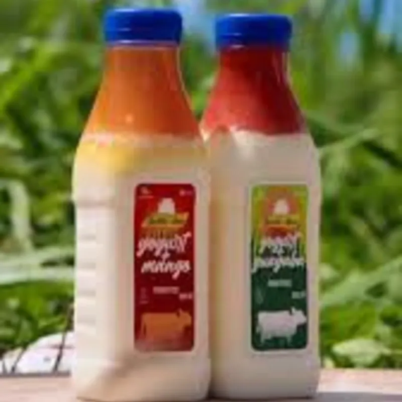 Yogurt Santa Ana Probiotico con Guayaba