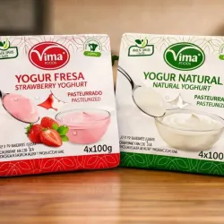 Yogurt Vima ( fresas Natural platónico)