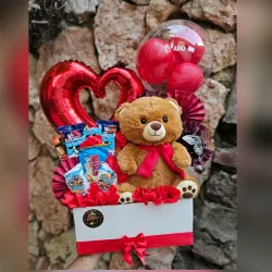 Osito Amoroso🧸😍❤️