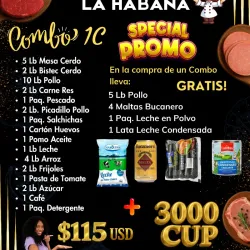 Combo de Comida # 1C