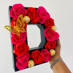 Letras Personalizadas