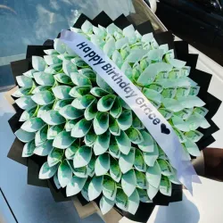 Money bouquet