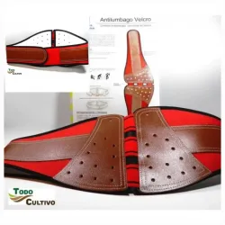 ‼️Faja lumbar‼️