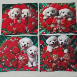 ‼️Set de 4 forros de cojines‼️  🐶 🌹 