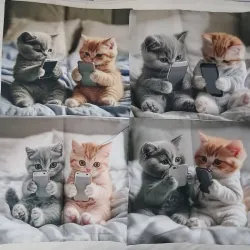 ‼️Set de 4 forros de cojines‼️ 🐱 