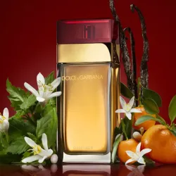 Perfume Dolce & Gabbana