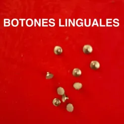 Botones linguales 