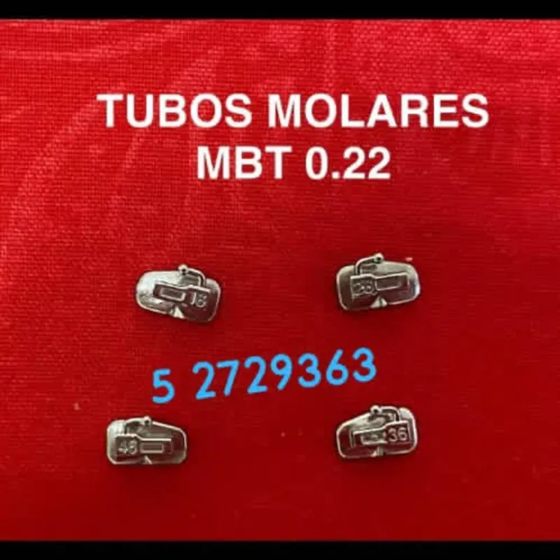 Tubos molares. 2do Molar