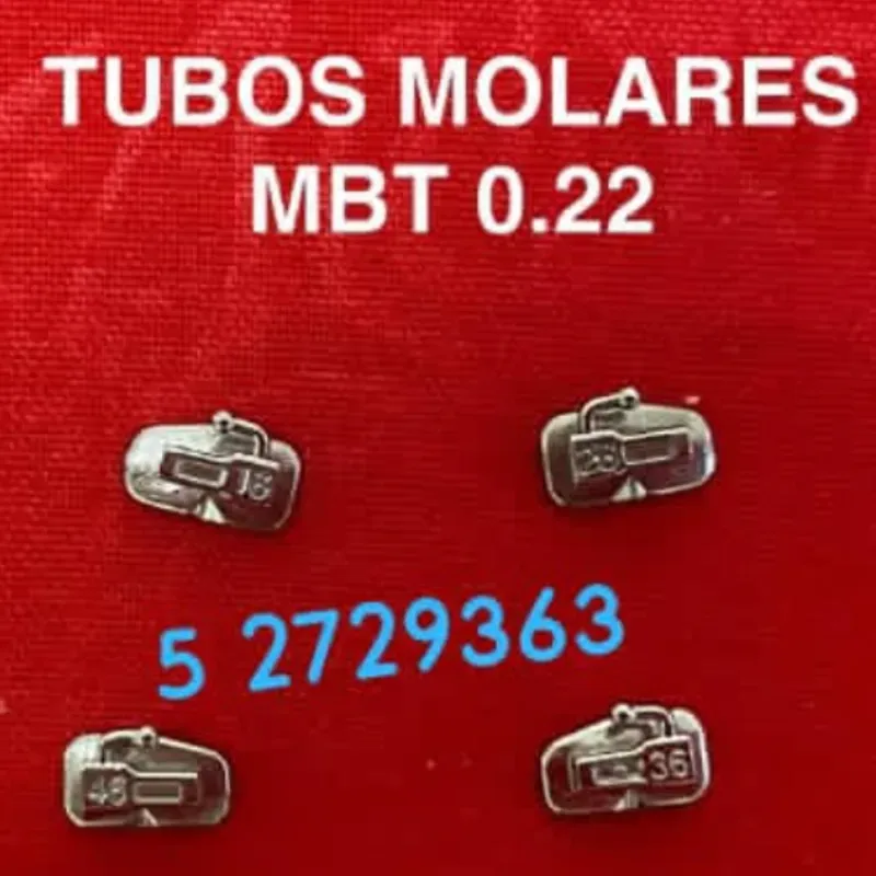 Tubos Molares. 1er Molar