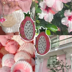 Aretes de PITAYA (Fruta del dragón)