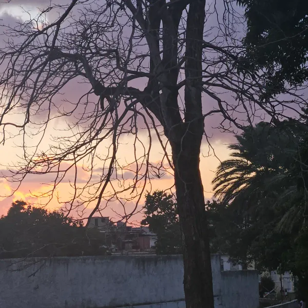 Tienda bazar, con un poquito de todo. Donde encontraras todo lo que buscas y te enamoras de lo que no pensabas. El dia de hoy es un presente. Elige ser feliz