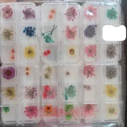 Cajitas naturaleza muerta