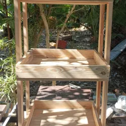 Organizador 