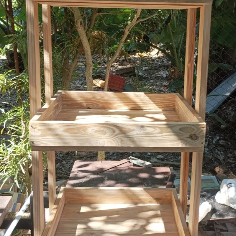 Organizador 