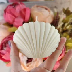 Vela en forma de concha marina