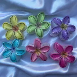 Pellizcos Hawaianos 🌸