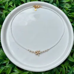 Collar de mostacillas, perlas y estrella