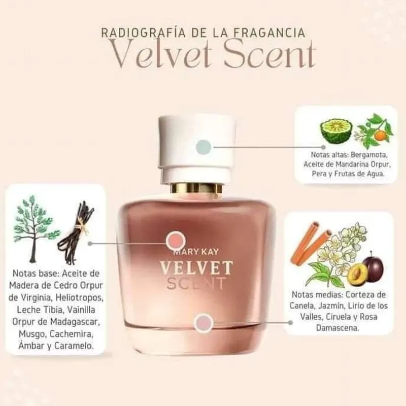  Velvet Scent® Eau de Parfum 50 ml