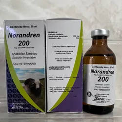 NORANDREN (Deca)