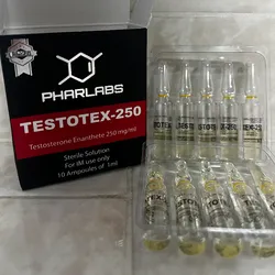 TESTOTEX-250 (Testosterona Enantato)