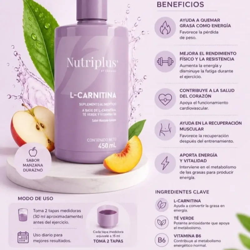 L- Carnitina