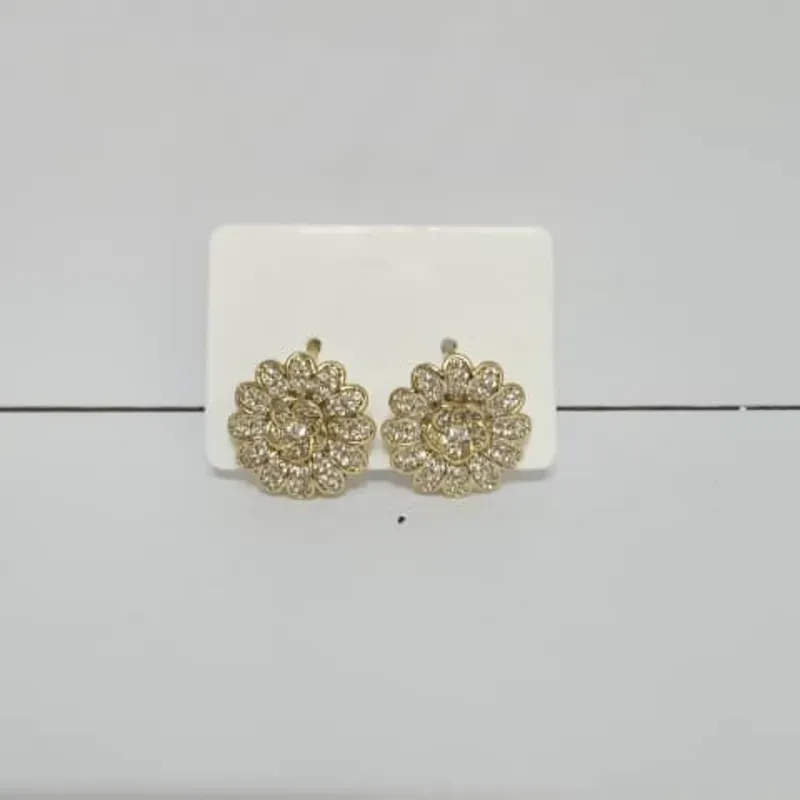 Aretes 
