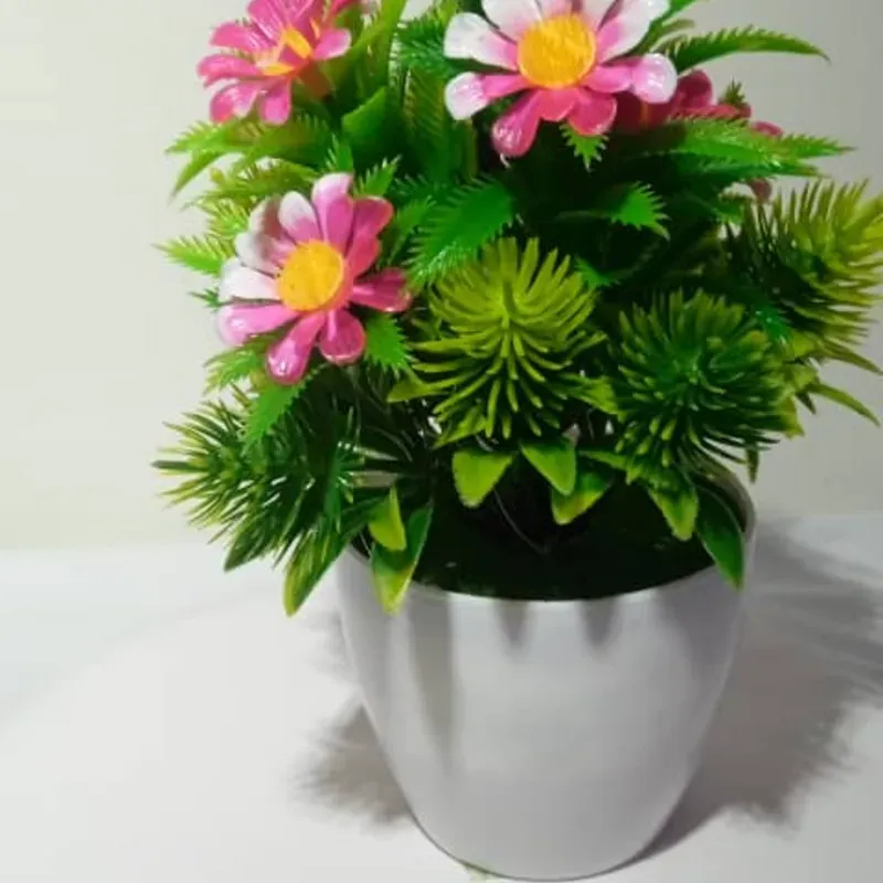 Macetas de flores