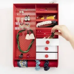 Organizador 