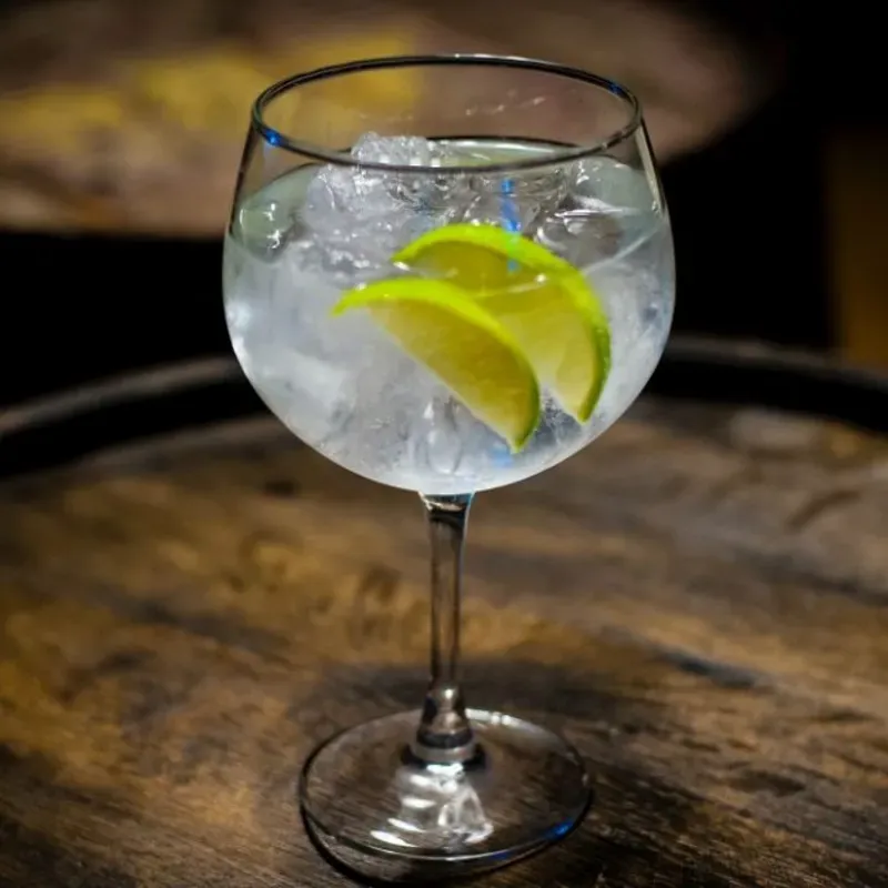 Coctel Gin Tonic 
