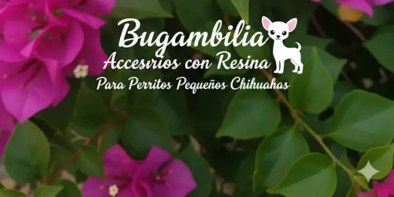 Accesorios para mascotas  