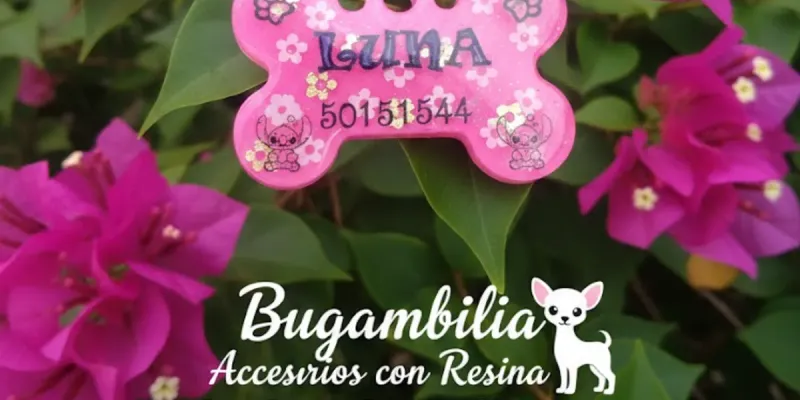 Huesitos personalizados para chihuahuas