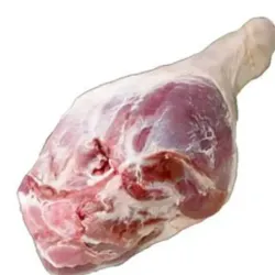 Cerdo