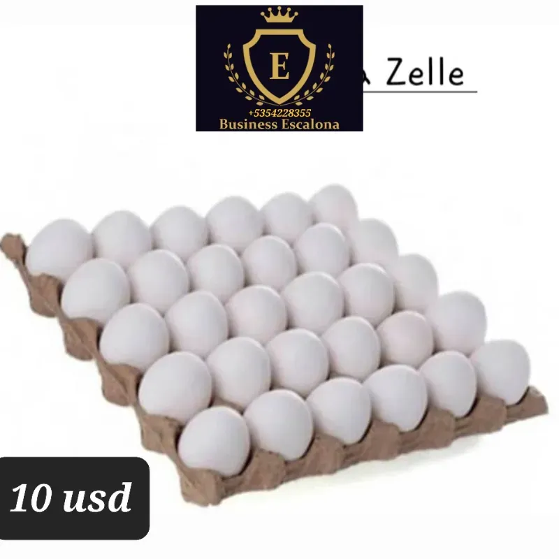 Fil de huevos