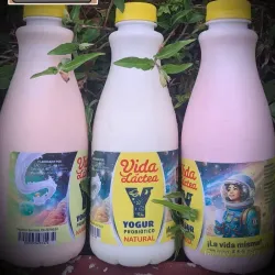 Yogurt probiótico vida láctea