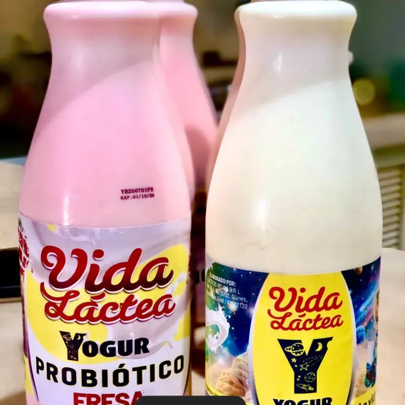 Yogurt Probiótico 